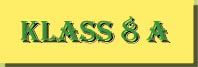 klass8A.jpg (6509 bytes)
