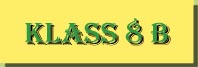 klass8B.jpg (6350 bytes)
