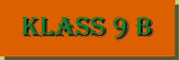 klass9B.jpg (5840 bytes)