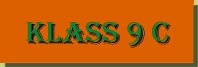 klass9C.jpg (5803 bytes)