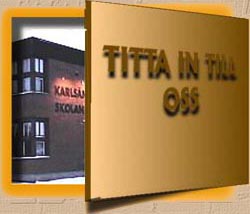 skoldor3.jpg (16829 bytes)